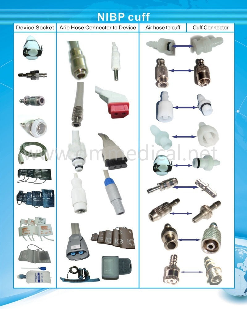 HTB1ii0qp21TBuNjy0Fjq6yjyXXag