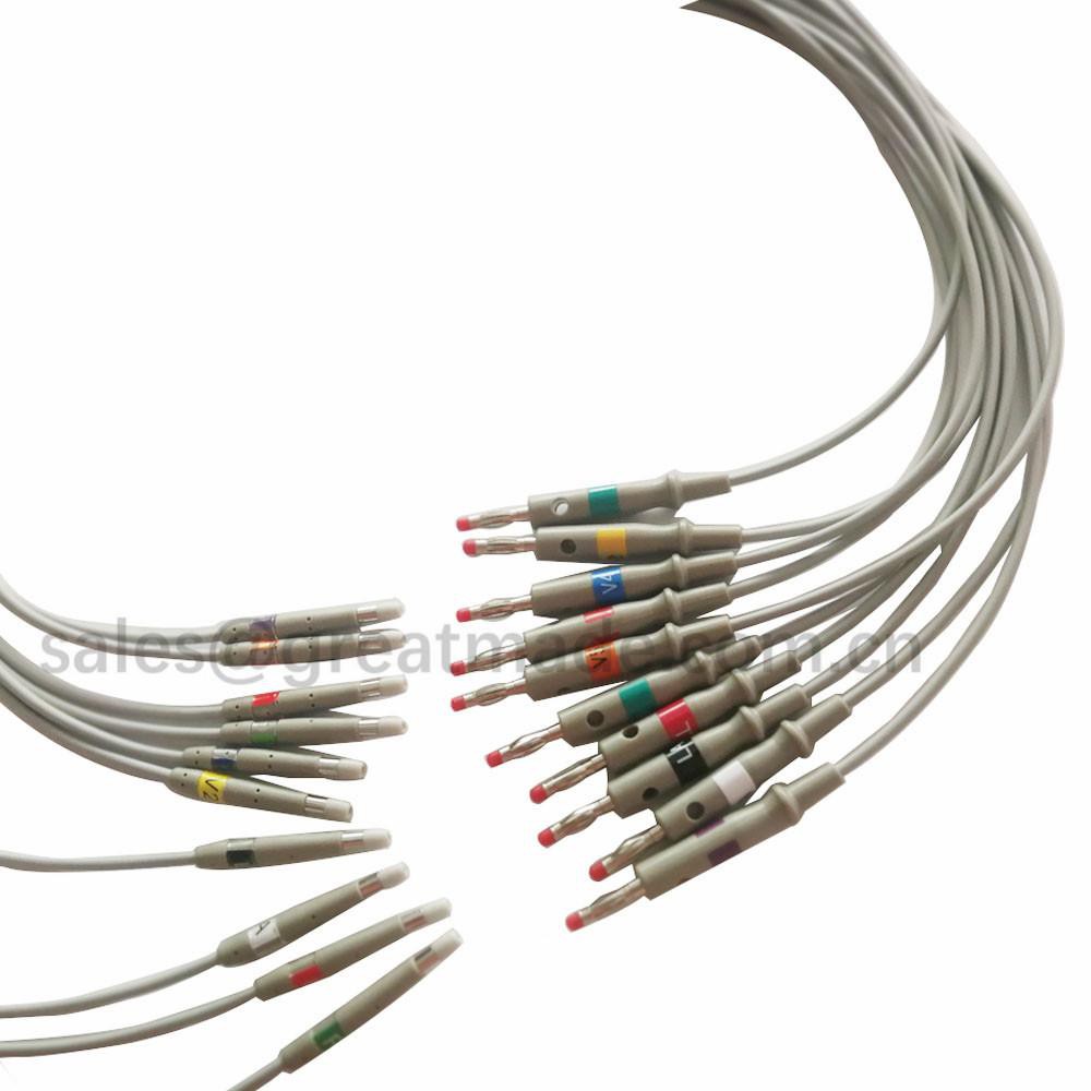 Welch Allyn CT100 EKG kabel _ 副本 Welch Allyn CT100 EKG cable _副本